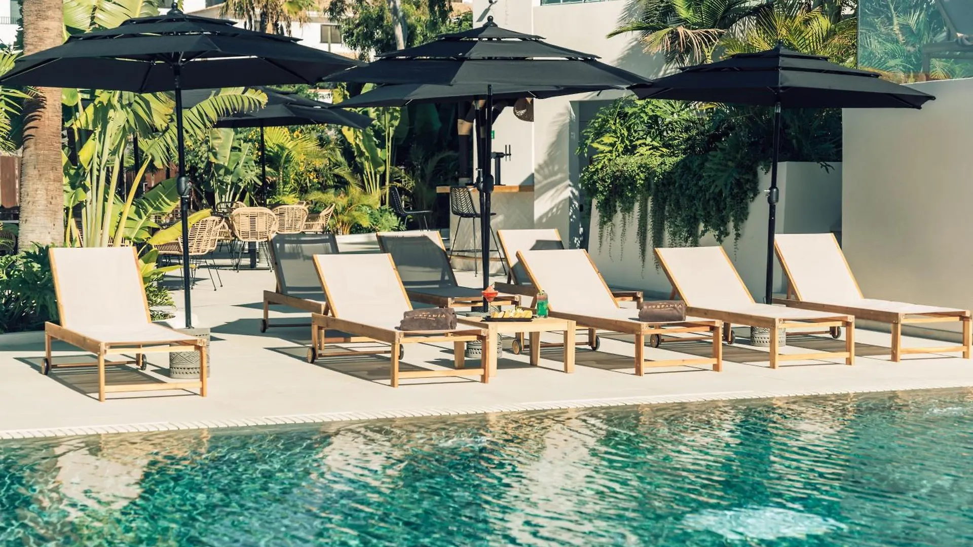 Hotel Estefania Boutique Suites Chayofa