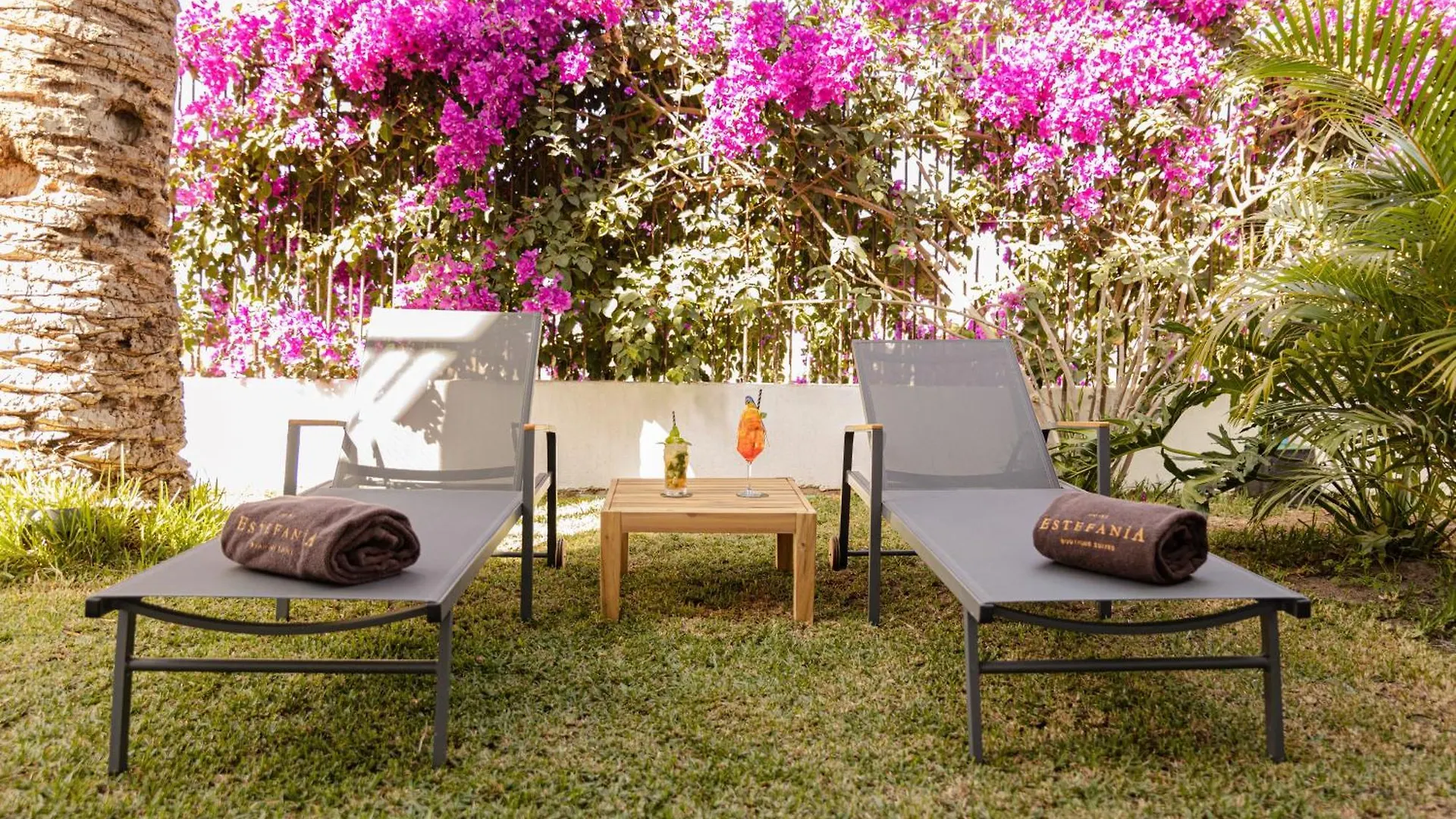 Hotel Estefania Boutique Suites Chayofa